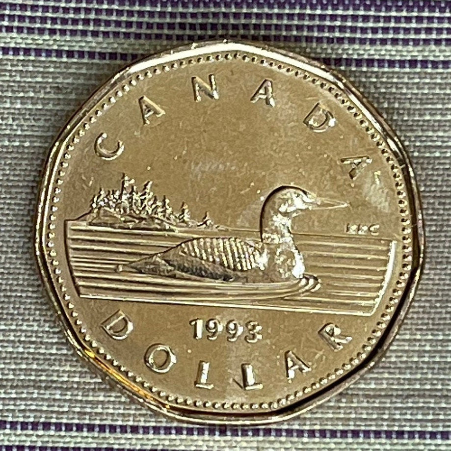 Loonie One Dollar Canada Authentic Coin Money for Jewelry and Craft Making (Canadian Loon) (Hendecagonal) (11-sided)