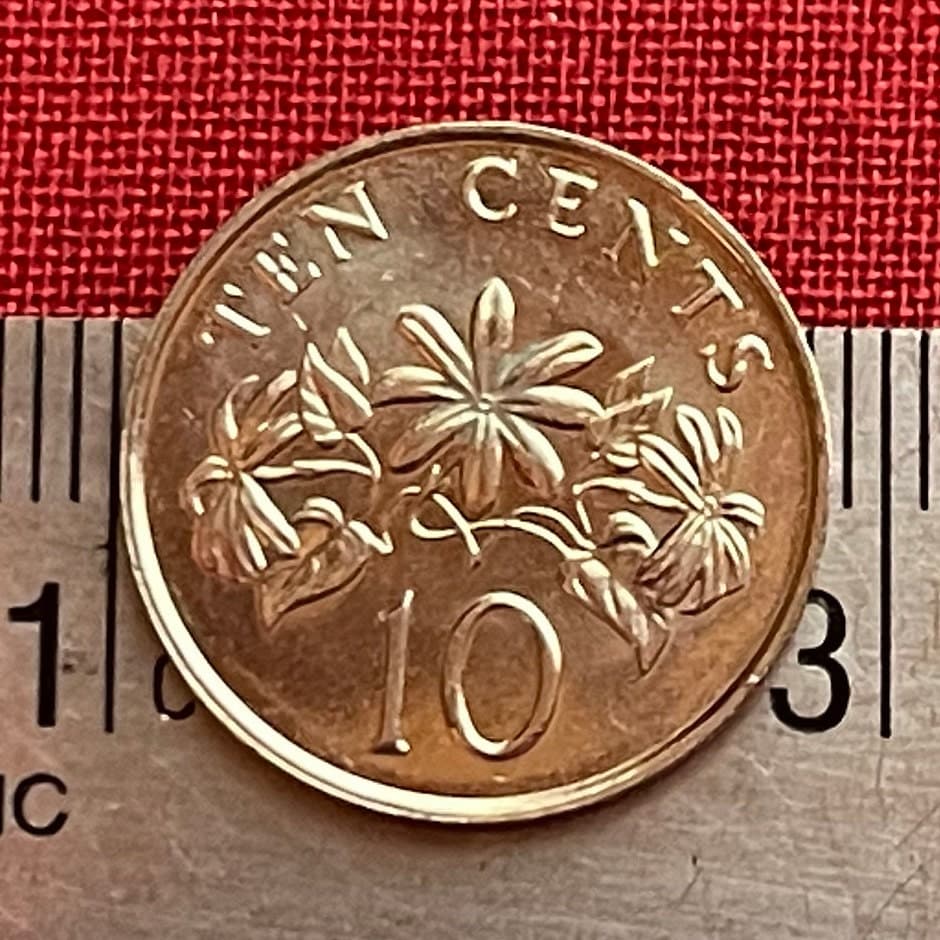 Star Jasmine 10 Cents Singapore Authentic Coin Money for Jewelry and Craft Making (Kund) (Hindu Bridal Garland)