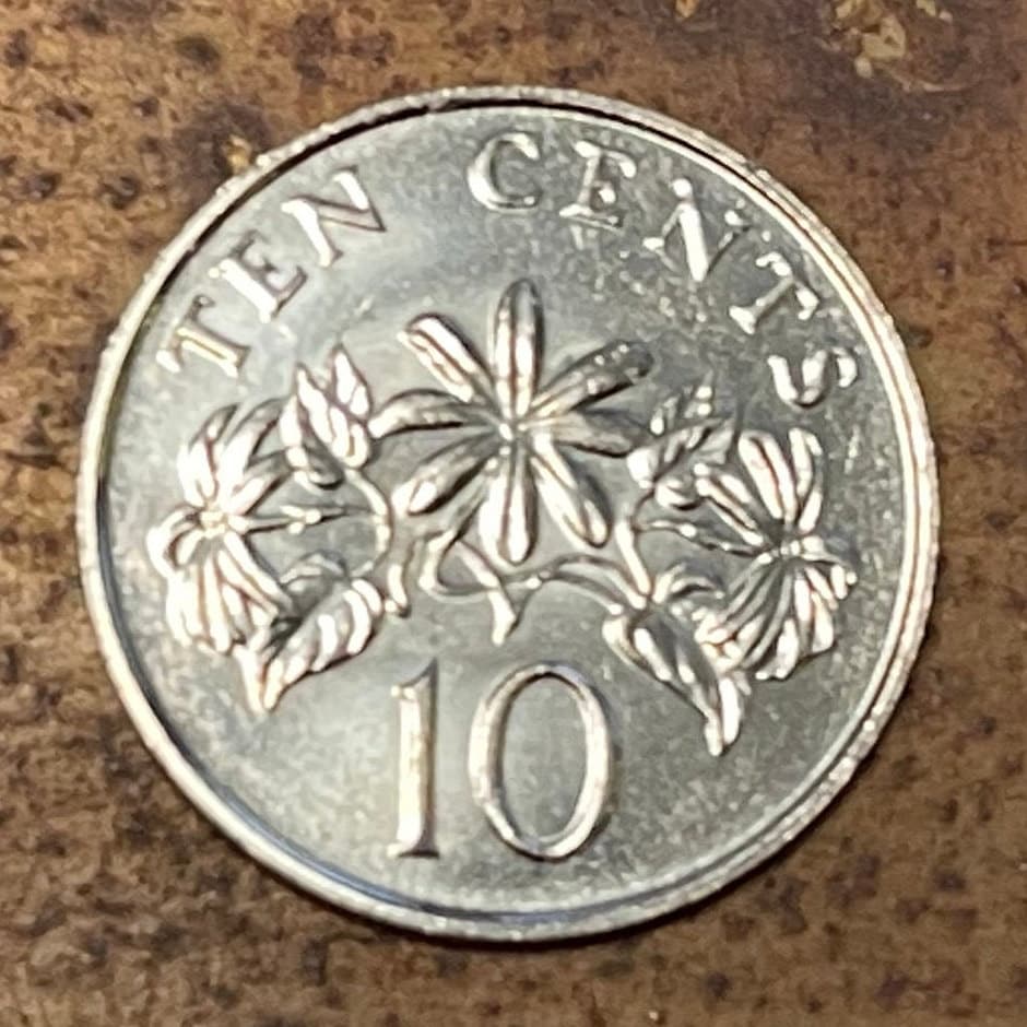 Star Jasmine 10 Cents Singapore Authentic Coin Money for Jewelry and Craft Making (Kund) (Hindu Bridal Garland)
