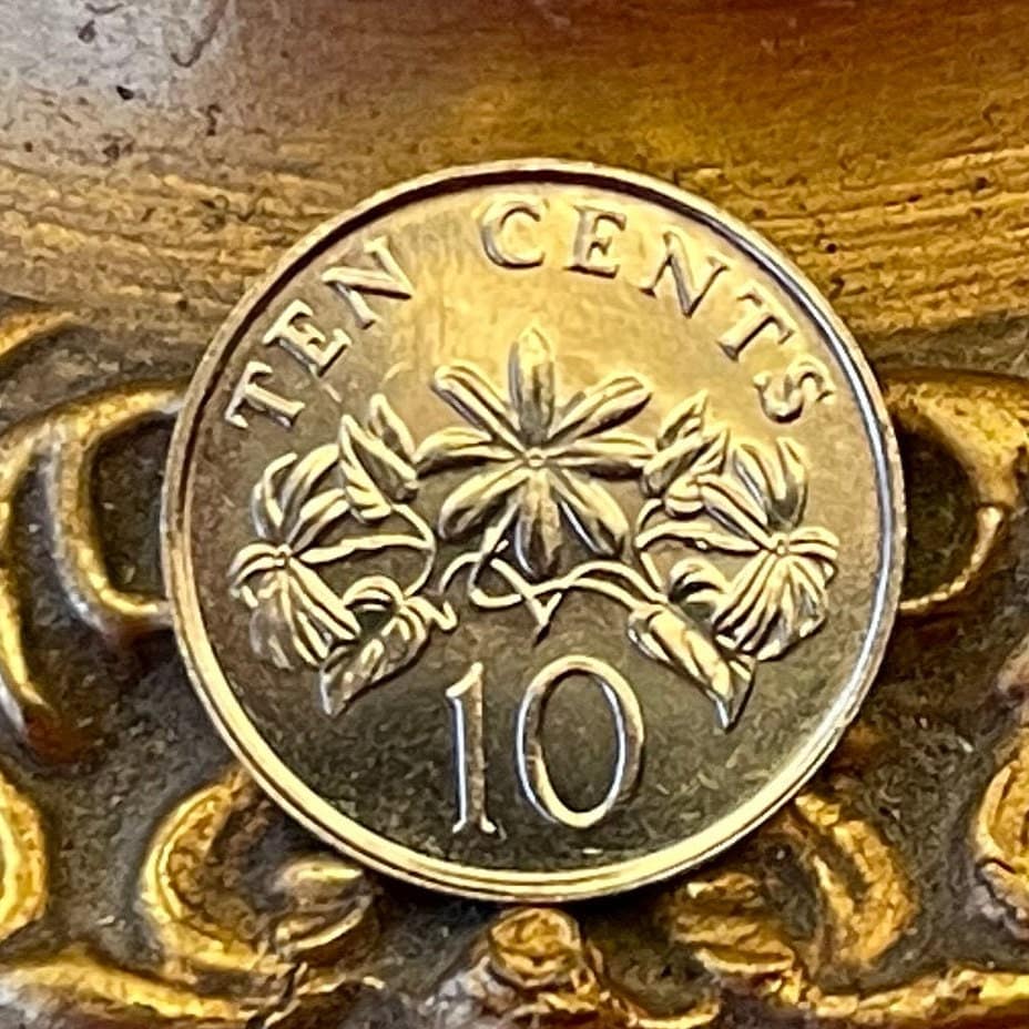 Star Jasmine 10 Cents Singapore Authentic Coin Money for Jewelry and Craft Making (Kund) (Hindu Bridal Garland)