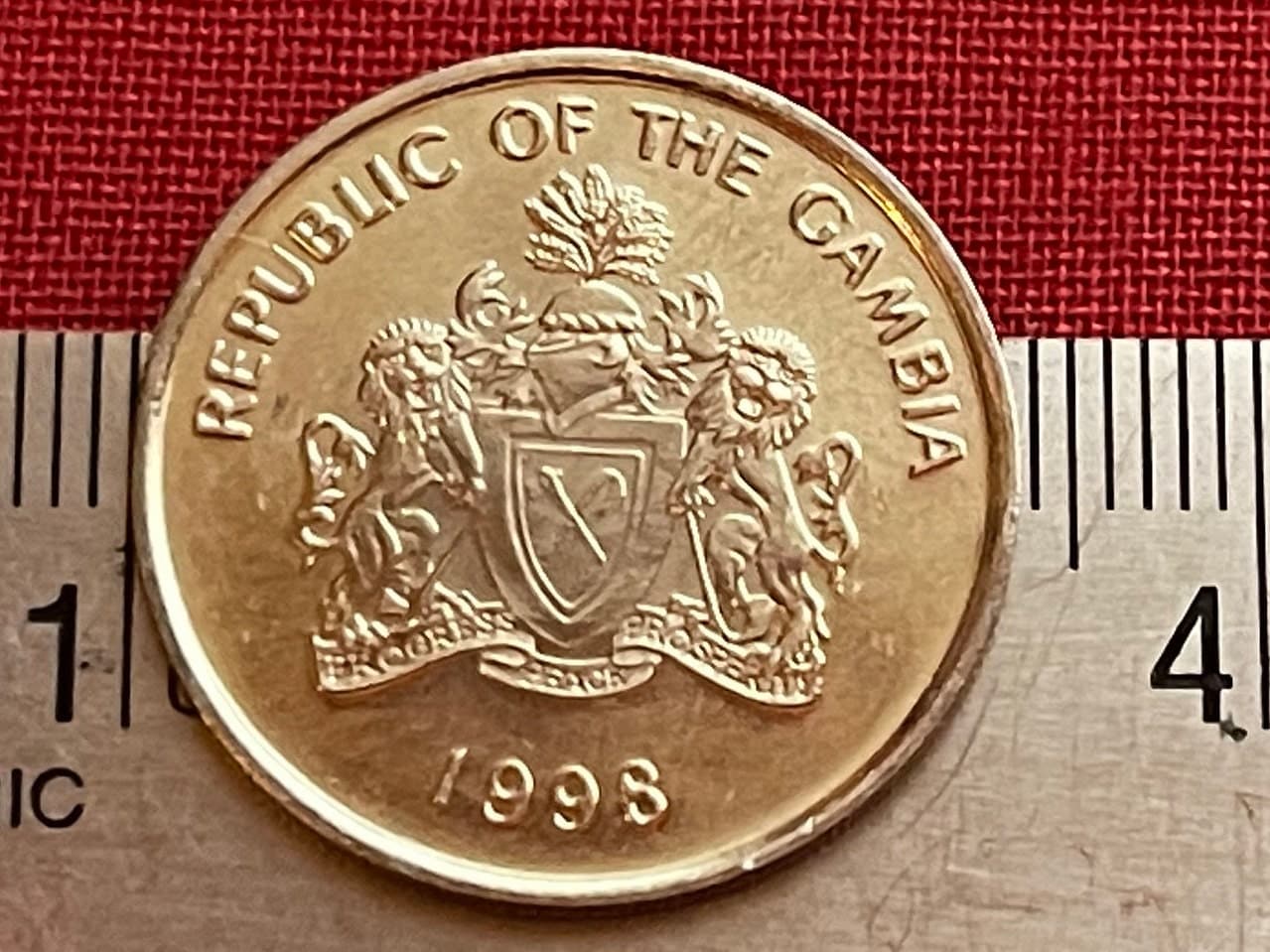 African Oil Palm 25 Bututs Gambia Authentic Coin Money for Jewelry and Craft Making (1998)