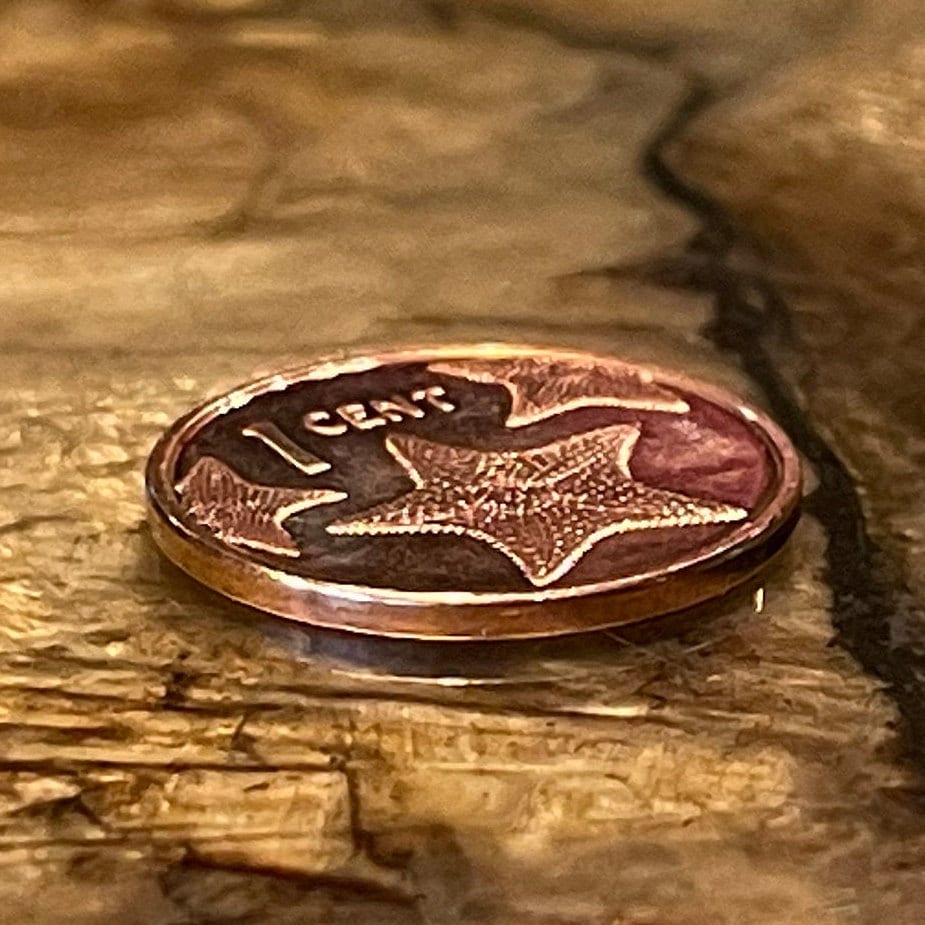 Red Cushion Sea Stars & Santa Maria 1 Cents Bahamas Authentic Coin Money for Jewelry and Craft Making (Columbus Flagship) (Starfish)