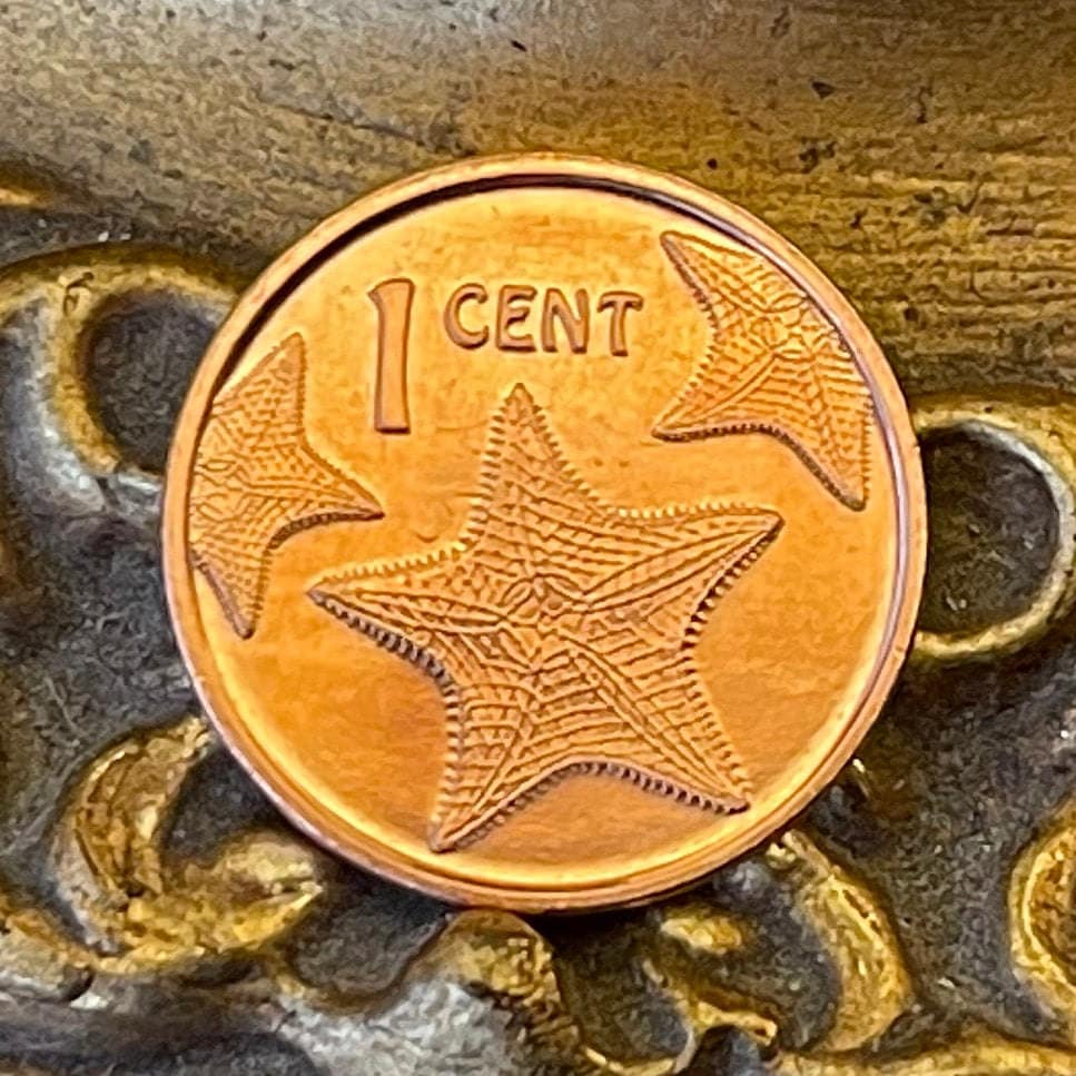 Red Cushion Sea Stars & Santa Maria 1 Cents Bahamas Authentic Coin Money for Jewelry and Craft Making (Columbus Flagship) (Starfish)