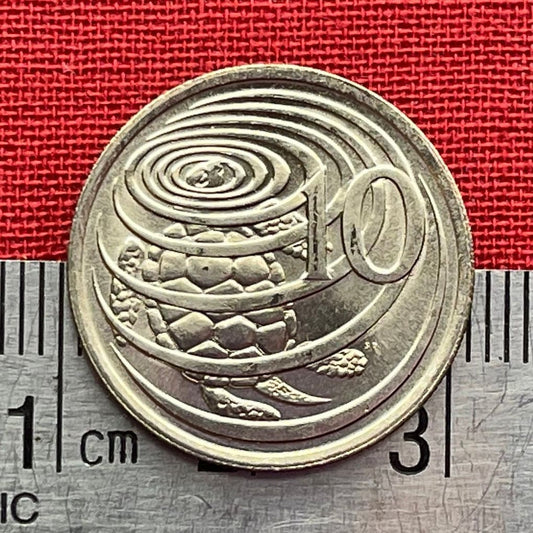 Sea Turtle Surfacing 10 Cents Cayman Islands Authentic Coin Money for Jewelry and Craft Making (Las Tortugas) (Green Sea Turtle)