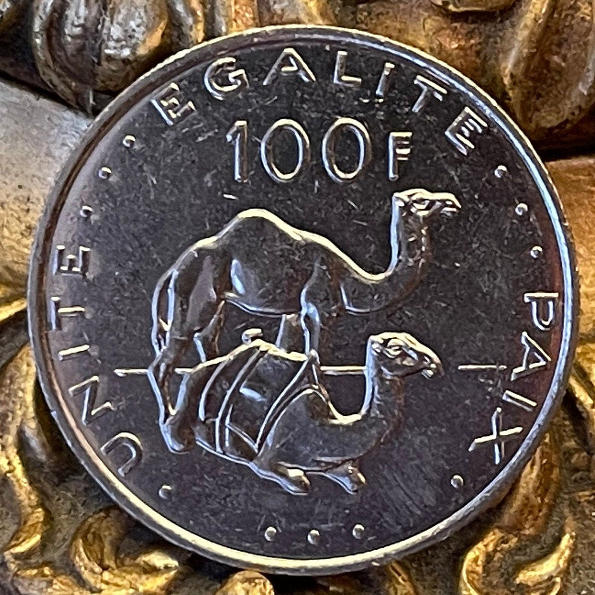 Dromedary Camels & Jile Daggers of Afar and Issa Tribes Djibouti 100 Francs Authentic Coin Money for Jewelry (Unity Equality Peace)