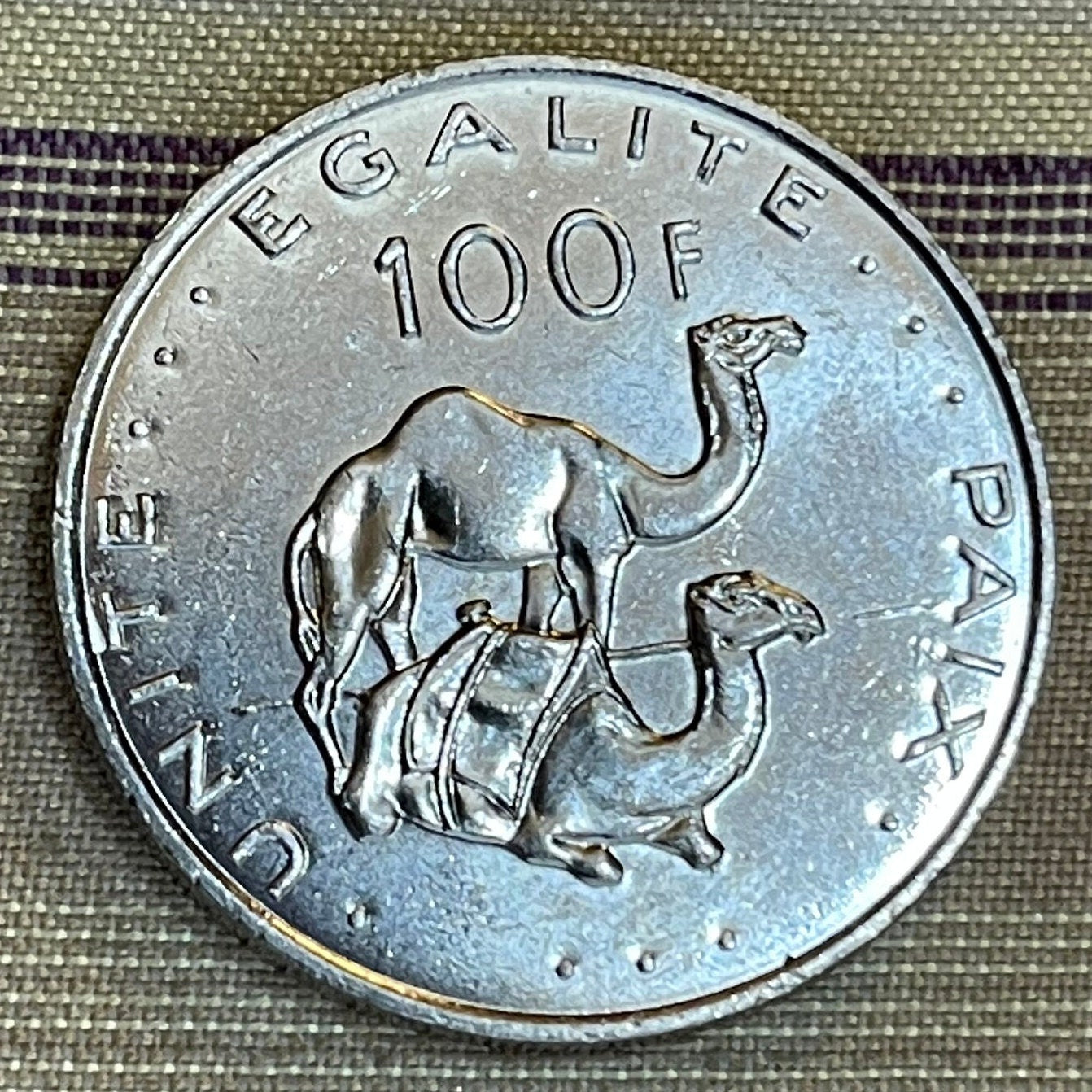 Dromedary Camels & Jile Daggers of Afar and Issa Tribes Djibouti 100 Francs Authentic Coin Money for Jewelry (Unity Equality Peace)