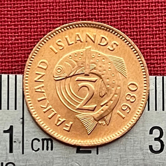 Salmon 1/2 Cent Falkland Islands Authentic Coin Money for Jewelry and Craft Making