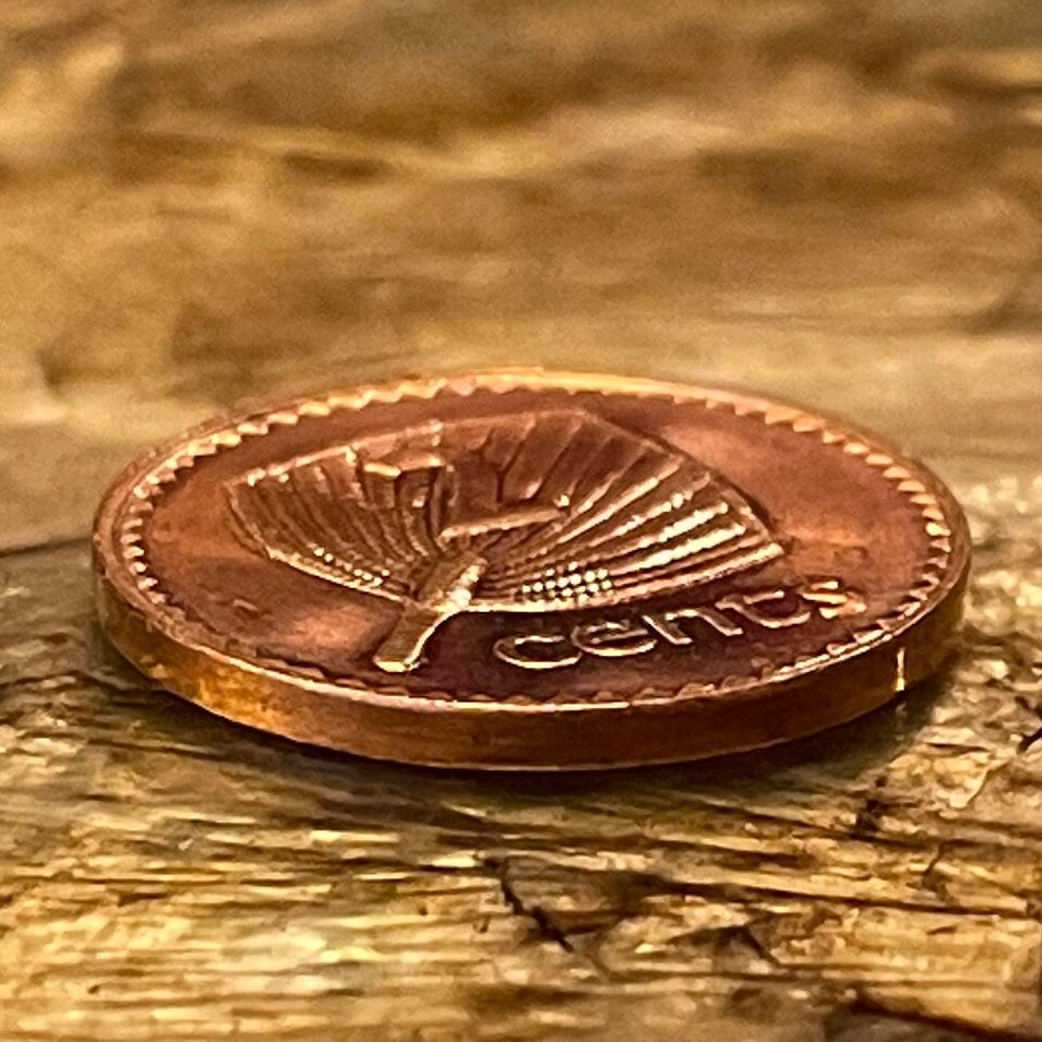 Palm Fan Umbrella 2 Cents Fiji Authentic Coin Money for Jewelry and Craft Making (Iri masei) (Ai viu) (Fiji Fan Palm)
