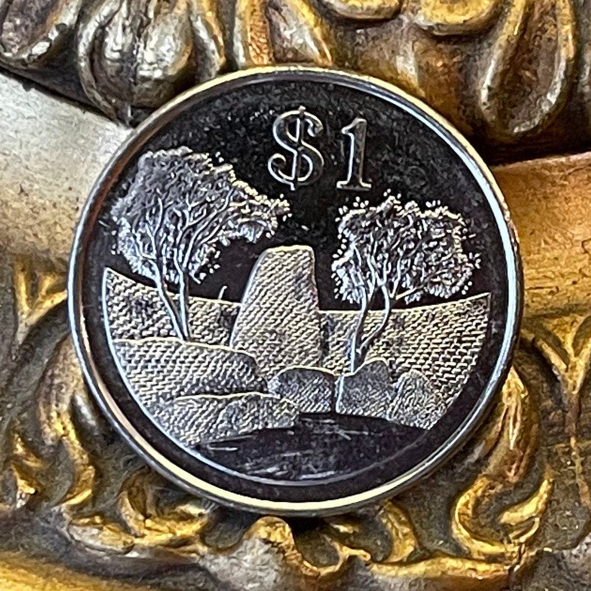 Great Zimbabwe City 1 Dollar Zimbabwe Authentic Coin Money for Jewelry and Craft Making (Great Zimbabwe Bird) (Bacheleur Eagle) (Shona)