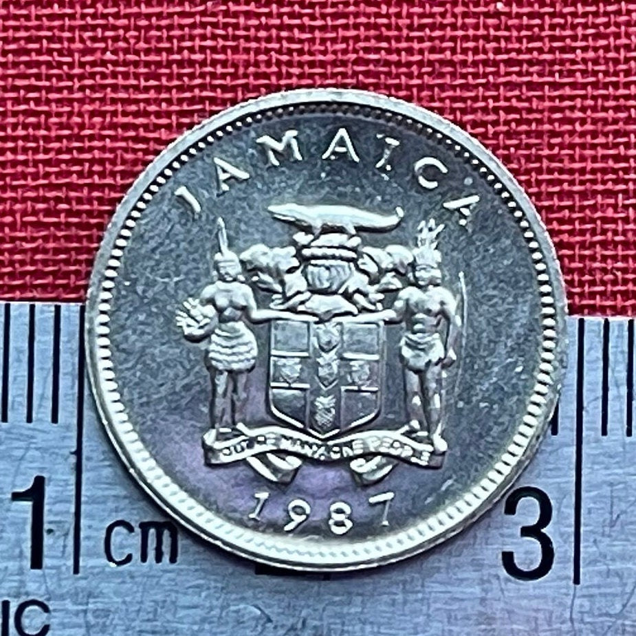 American Crocodile 5 Cents Jamaica Authentic Coin Money for Jewelry and Crafts Making (Eat You Alive) (Gobble You Up) (Crocodile Smile)