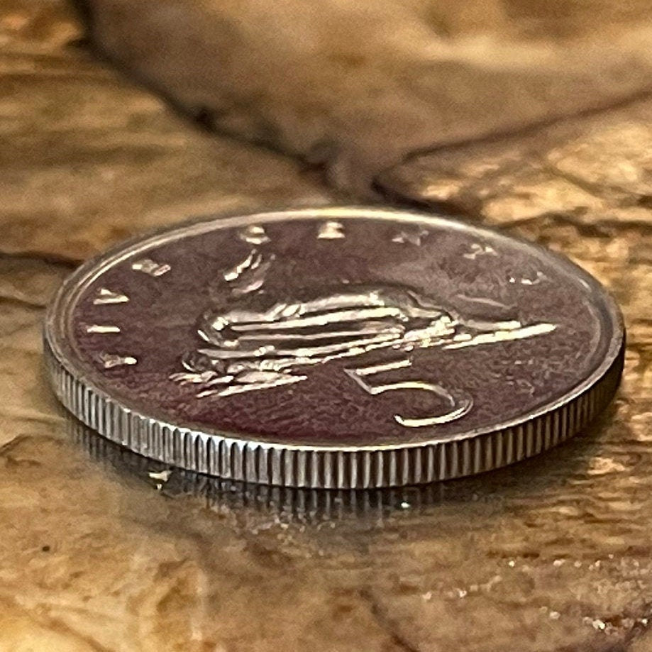 American Crocodile 5 Cents Jamaica Authentic Coin Money for Jewelry and Crafts Making (Eat You Alive) (Gobble You Up) (Crocodile Smile)