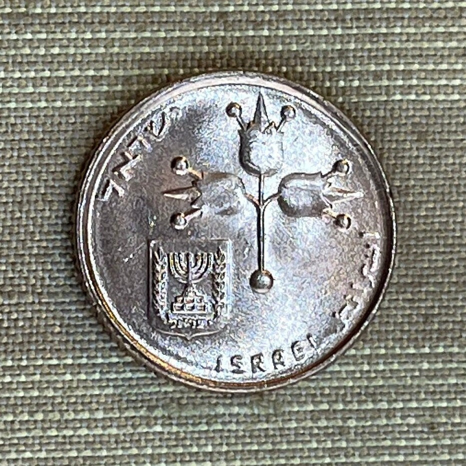 Pomegranates 10 New Agorot Israel Authentic Coin Money for Jewelry and Craft Making (Forbidden Fruit) (Rimonim) (Mystic) (Rosh Hashanah)