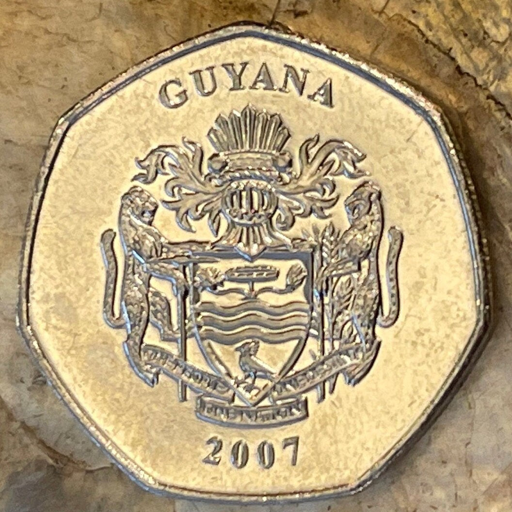 Pork-Knocker Gold Mining 10 Dollars Guyana Authentic Coin Money for Jewelry and Craft Making (Heptagonal 7-Sided) (Prospector)