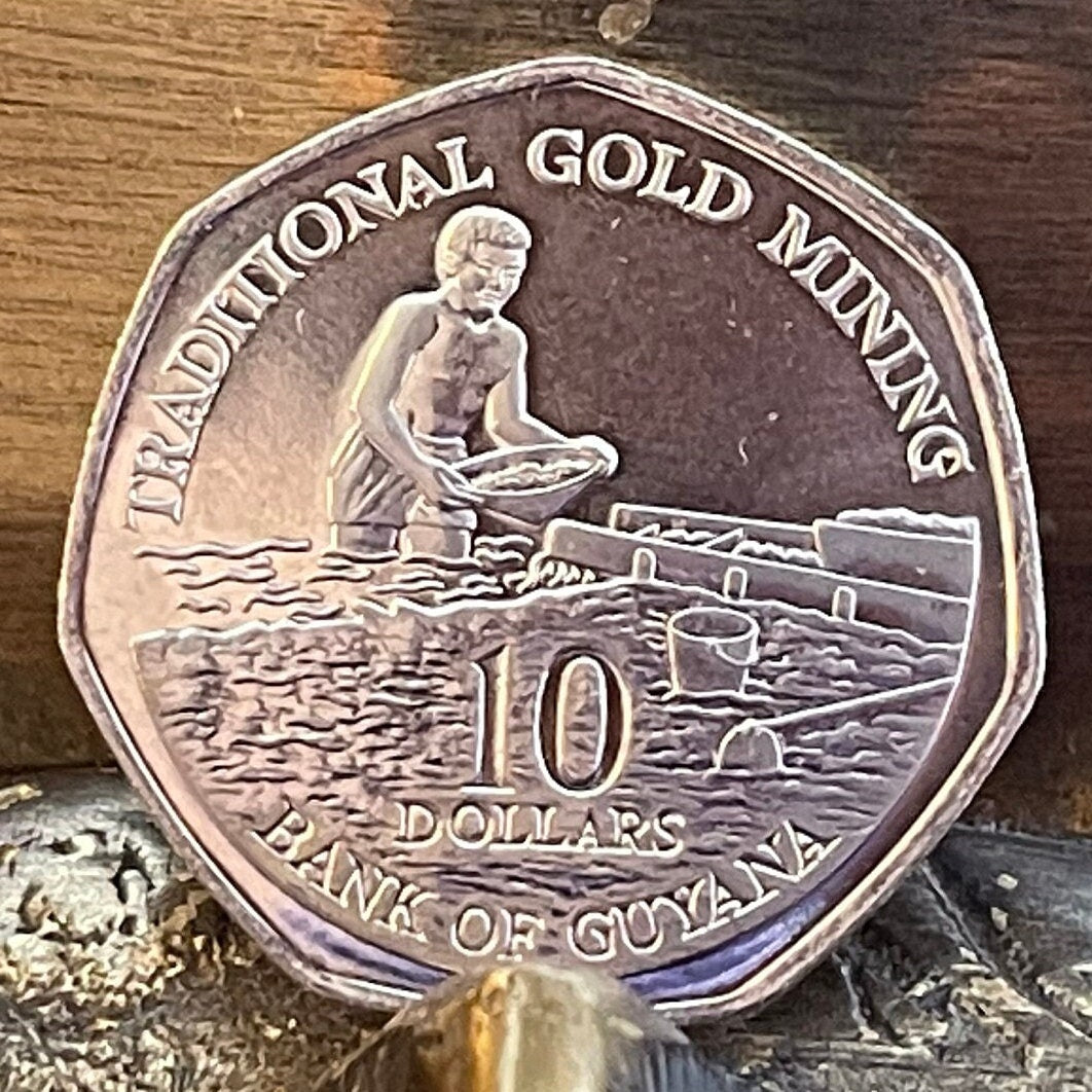 Pork-Knocker Gold Mining 10 Dollars Guyana Authentic Coin Money for Jewelry and Craft Making (Heptagonal 7-Sided) (Prospector)