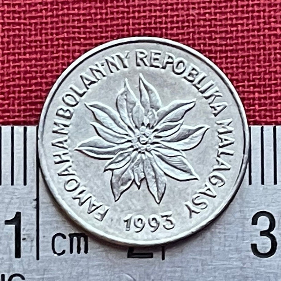 Poinsettia & Zebu 1 Franc Madagascar Authentic Coin Money for Jewelry and Craft Making (Christmas Flower)