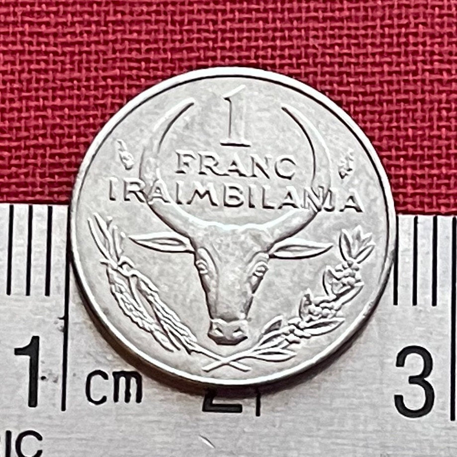 Poinsettia & Zebu 1 Franc Madagascar Authentic Coin Money for Jewelry and Craft Making (Christmas Flower)