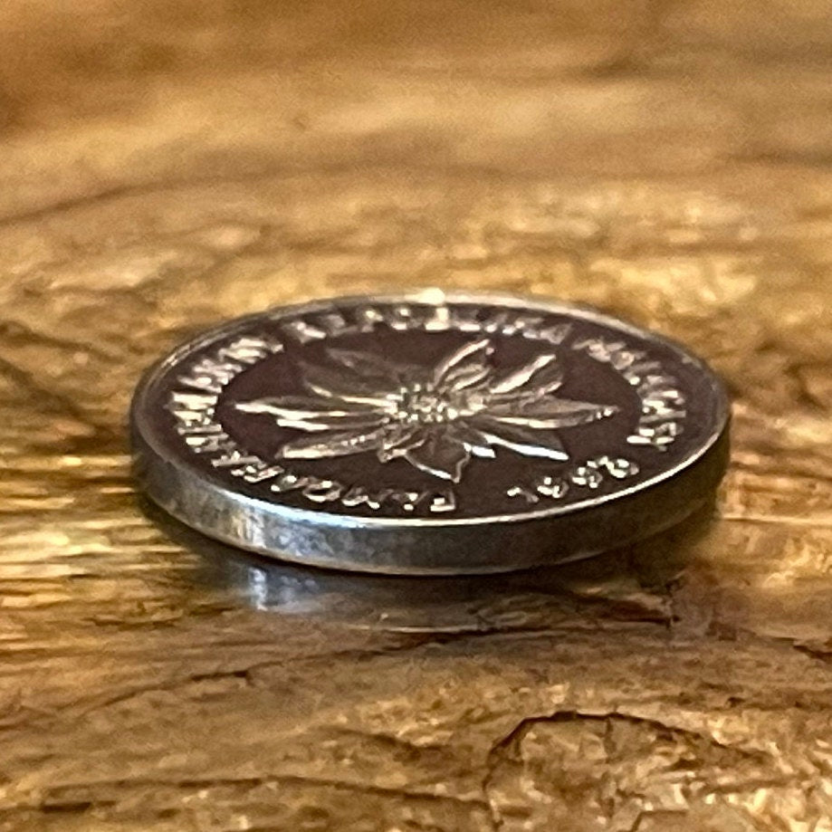 Poinsettia & Zebu 1 Franc Madagascar Authentic Coin Money for Jewelry and Craft Making (Christmas Flower)