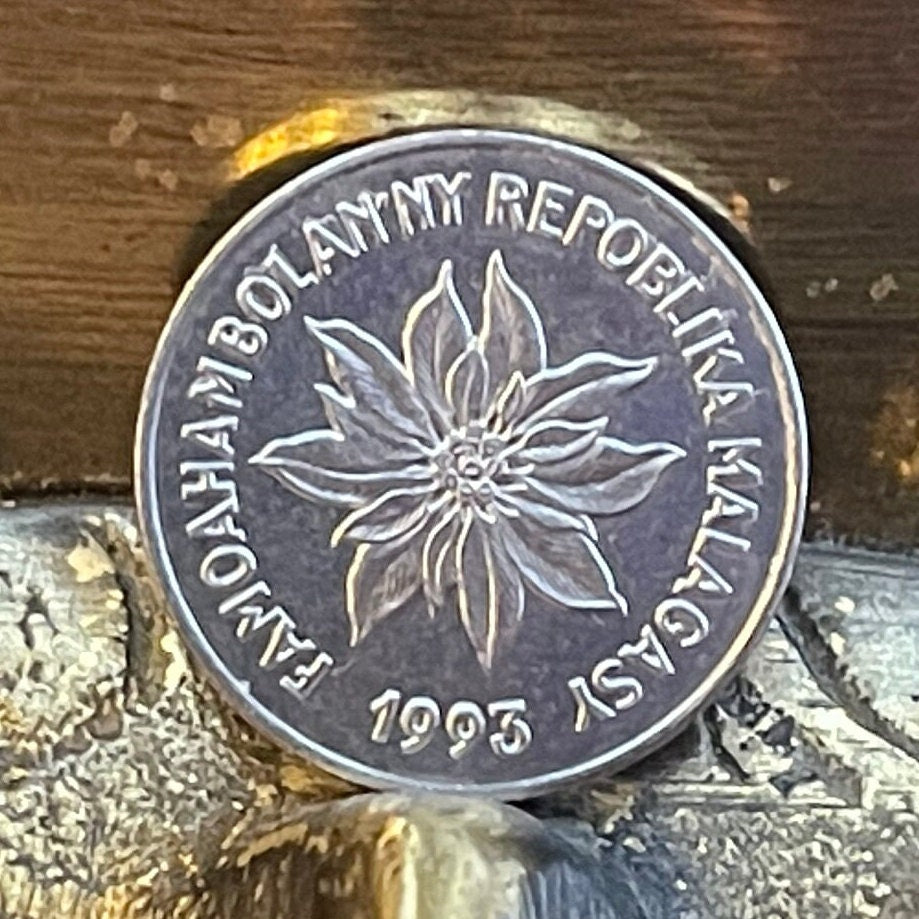 Poinsettia & Zebu 1 Franc Madagascar Authentic Coin Money for Jewelry and Craft Making (Christmas Flower)