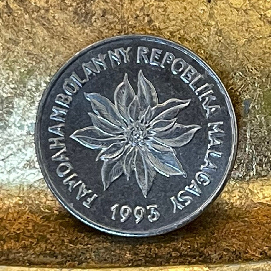 Poinsettia & Zebu 1 Franc Madagascar Authentic Coin Money for Jewelry and Craft Making (Christmas Flower)