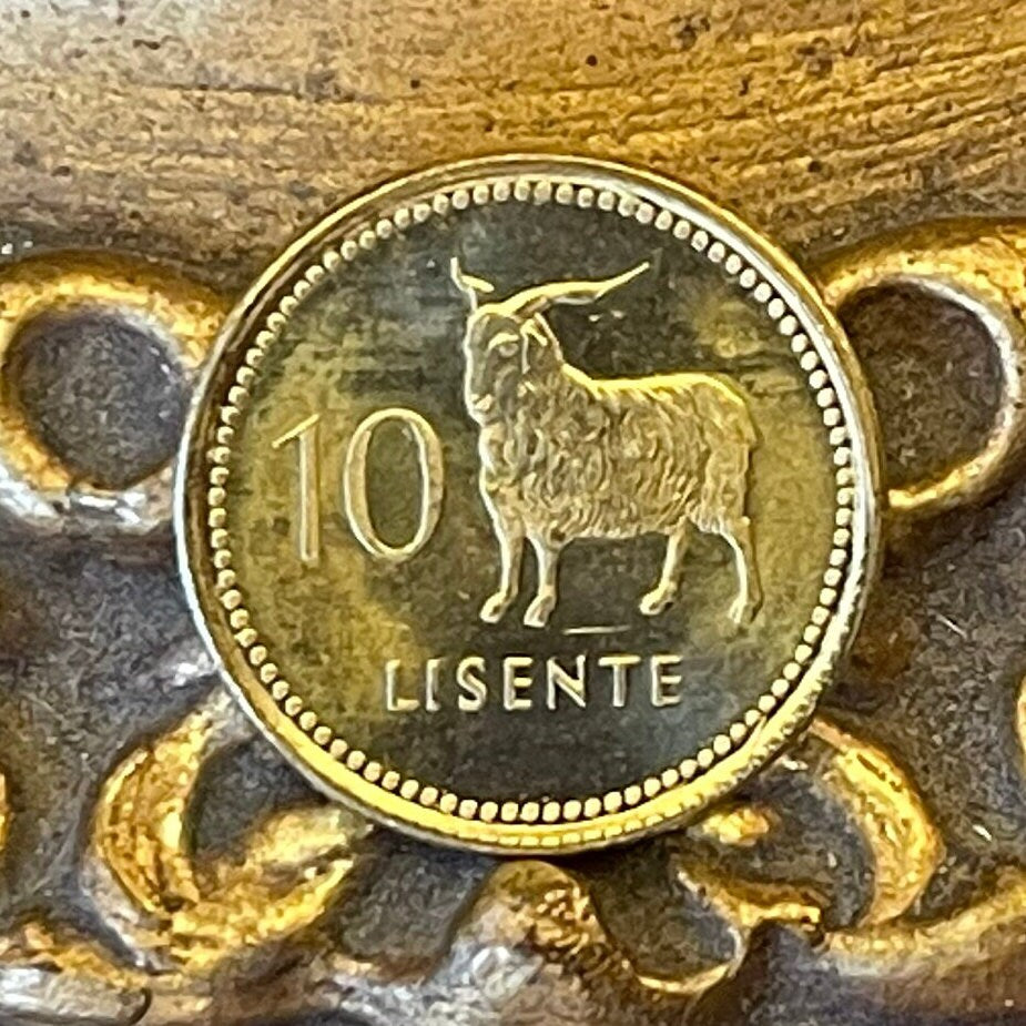 Angora Goat 10 Lisente Lesotho Authentic Coin Money for Jewelry and Craft Making (Mohair)