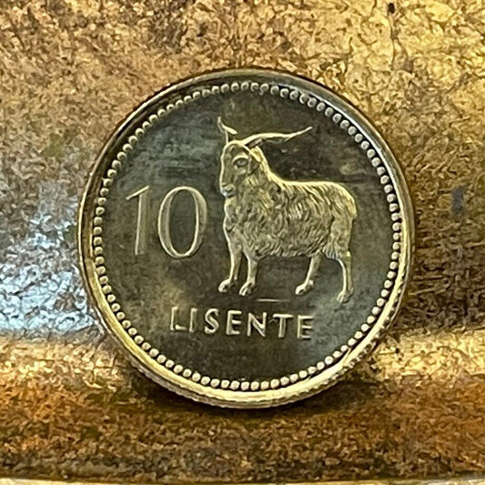 Angora Goat 10 Lisente Lesotho Authentic Coin Money for Jewelry and Craft Making (Mohair)
