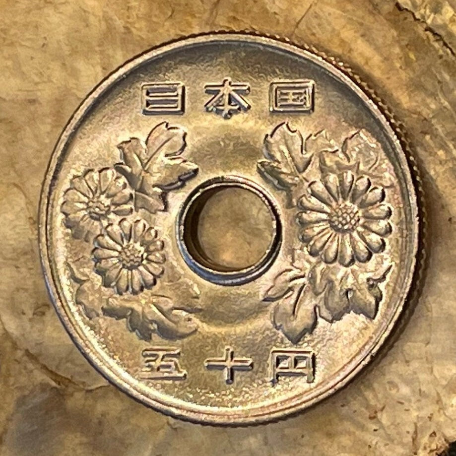 Chrysanthemums 50 Yen Japan Authentic Coin Money for Jewelry and Craft Making (Hole in Coin) (Imperial Family) (Kiku) (Longevity) (Nobility)
