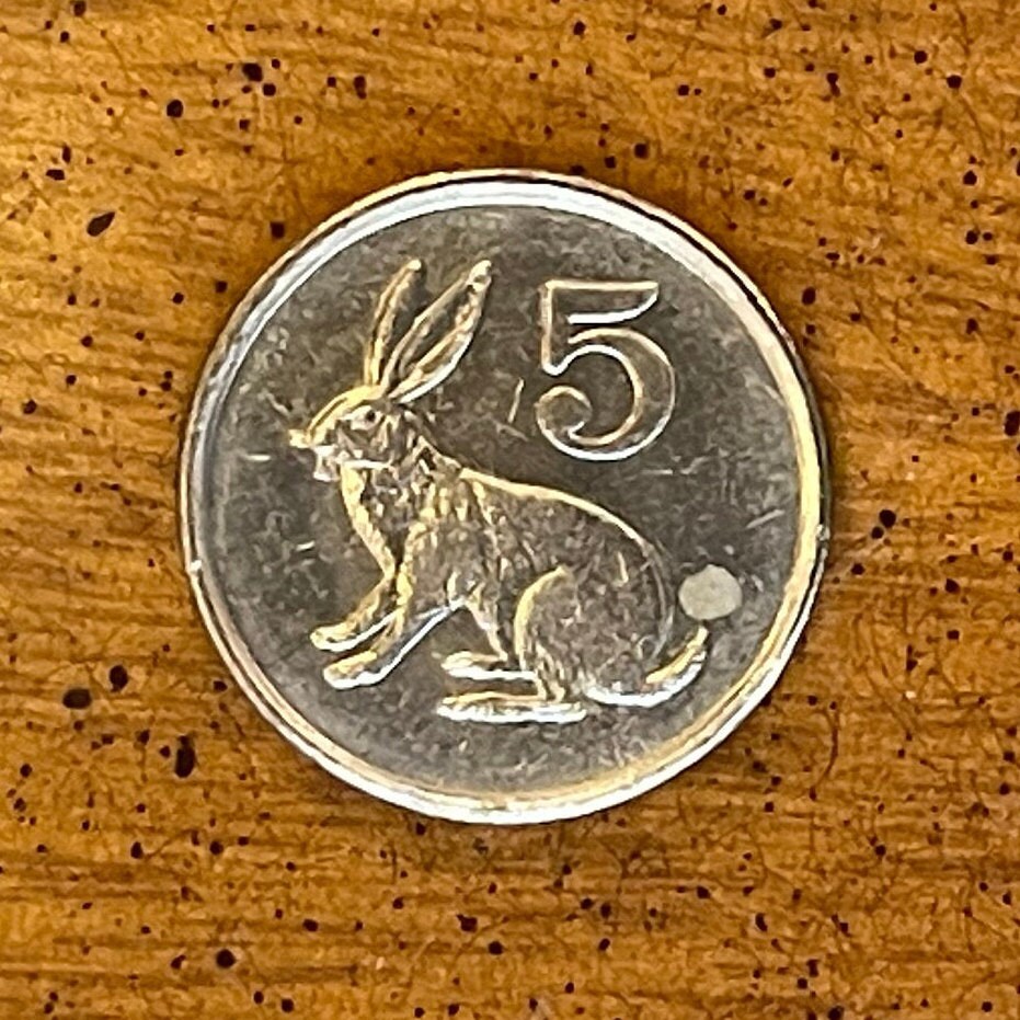 Scrub Hare & Great Zimbabwe Bird 5 Cents Zimbabwe Authentic Coin Money for Jewelry and Craft Making (Rabbit) (Bunny) (Easter Bunny)