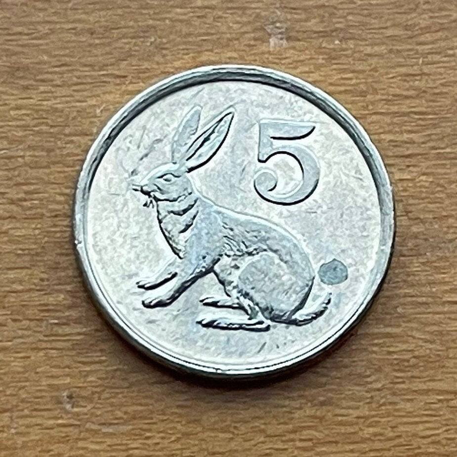 Scrub Hare & Great Zimbabwe Bird 5 Cents Zimbabwe Authentic Coin Money for Jewelry and Craft Making (Rabbit) (Bunny) (Easter Bunny)