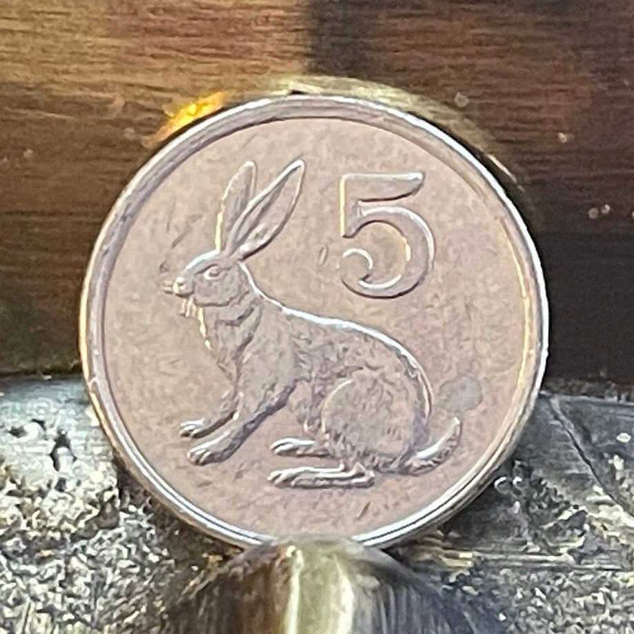 Scrub Hare & Great Zimbabwe Bird 5 Cents Zimbabwe Authentic Coin Money for Jewelry and Craft Making (Rabbit) (Bunny) (Easter Bunny)