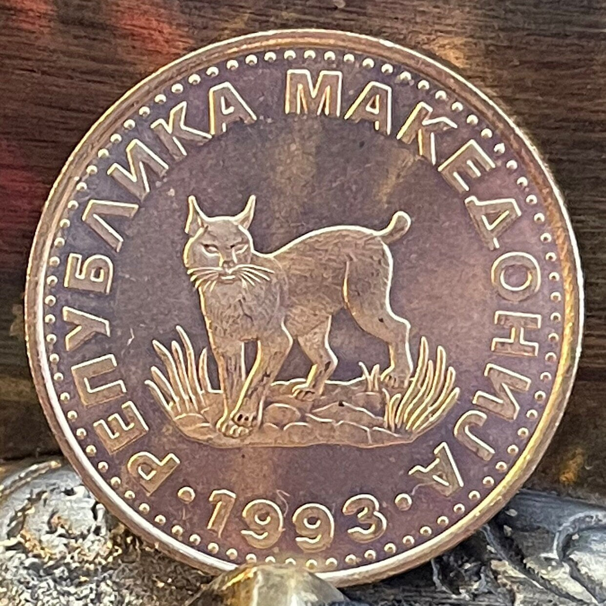 Balkan Lynx 5 Denari Macedonia Authentic Coin Money for Jewelry and Craft Making (Wild Cat)