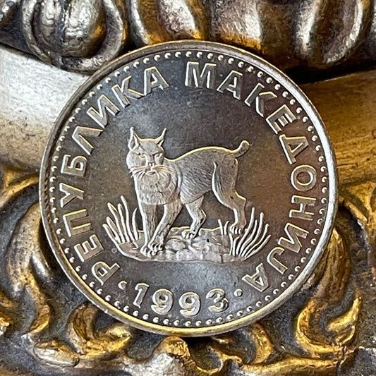 Balkan Lynx 5 Denari Macedonia Authentic Coin Money for Jewelry and Craft Making (Wild Cat)
