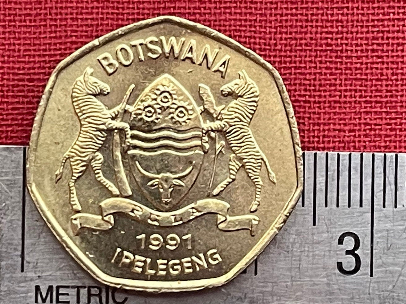 Zebra 1 Pula Botswana Authentic Coin Money for Jewelry and Craft Making (Rain) (Racial Harmony) (Zebra Stripes)
