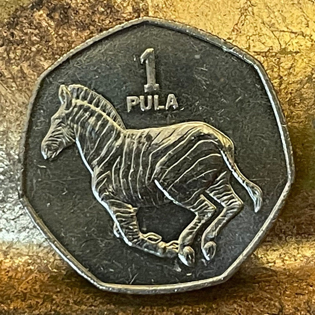 Zebra 1 Pula Botswana Authentic Coin Money for Jewelry and Craft Making (Rain) (Racial Harmony) (Zebra Stripes)