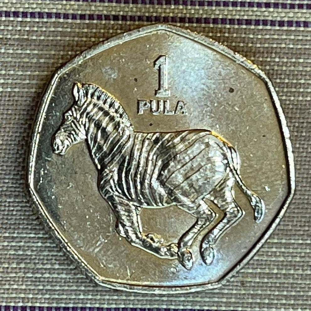 Zebra 1 Pula Botswana Authentic Coin Money for Jewelry and Craft Making (Rain) (Racial Harmony) (Zebra Stripes)