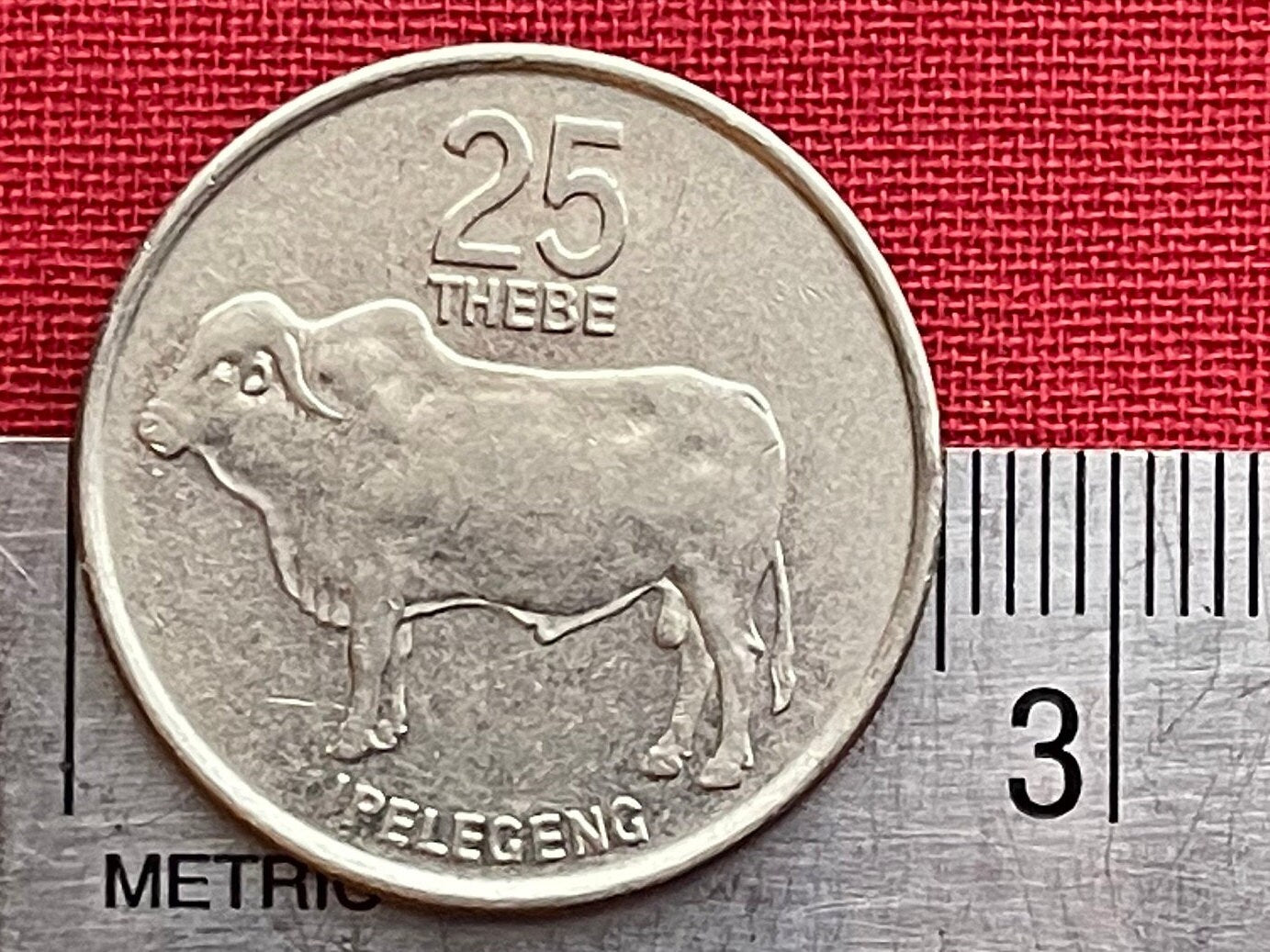 Zebu 25 Thebe Botswana Authentic Coin Money for Jewelry and Craft Making (Rain) (Racial Harmony) (Pula) (Self Sufficiency) (Taurus)