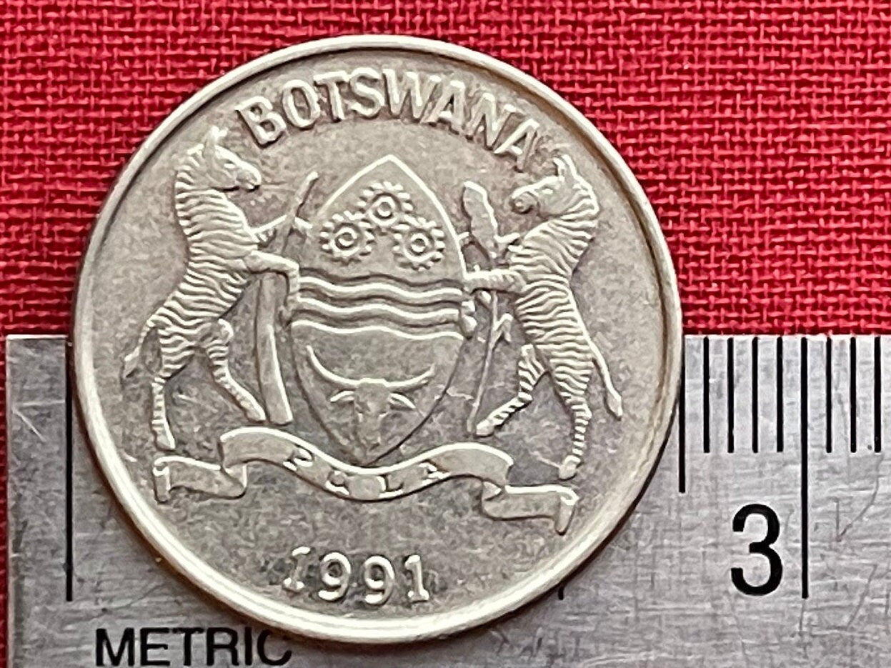 Zebu 25 Thebe Botswana Authentic Coin Money for Jewelry and Craft Making (Rain) (Racial Harmony) (Pula) (Self Sufficiency) (Taurus)