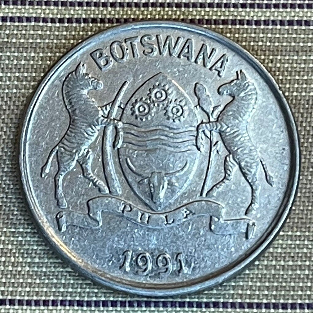 Zebu 25 Thebe Botswana Authentic Coin Money for Jewelry and Craft Making (Rain) (Racial Harmony) (Pula) (Self Sufficiency) (Taurus)