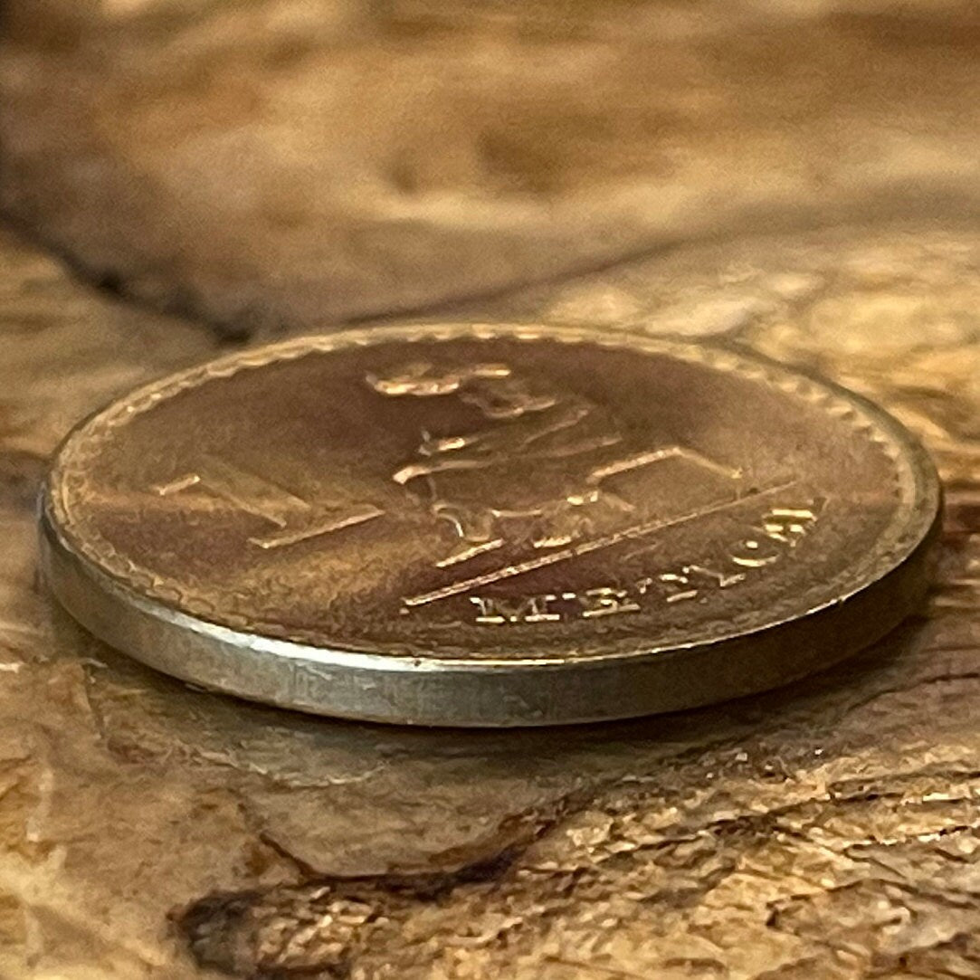 Woman Writer 1 Metical Mozambique Authentic Coin Money for Jewelry (Female Student) Barefoot Scholar (Girls in School) (Education of Women)