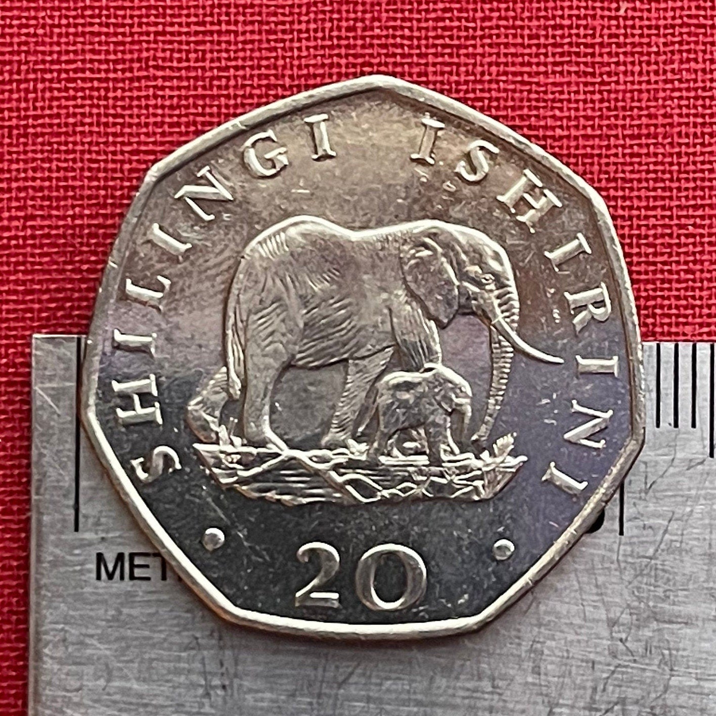 Elephant Mother and Baby & President Mwinyi 20 Shilingi Tanzania Authentic Coin Money for Jewelry and (Elephant Calf) 1992 (Heptagonal)