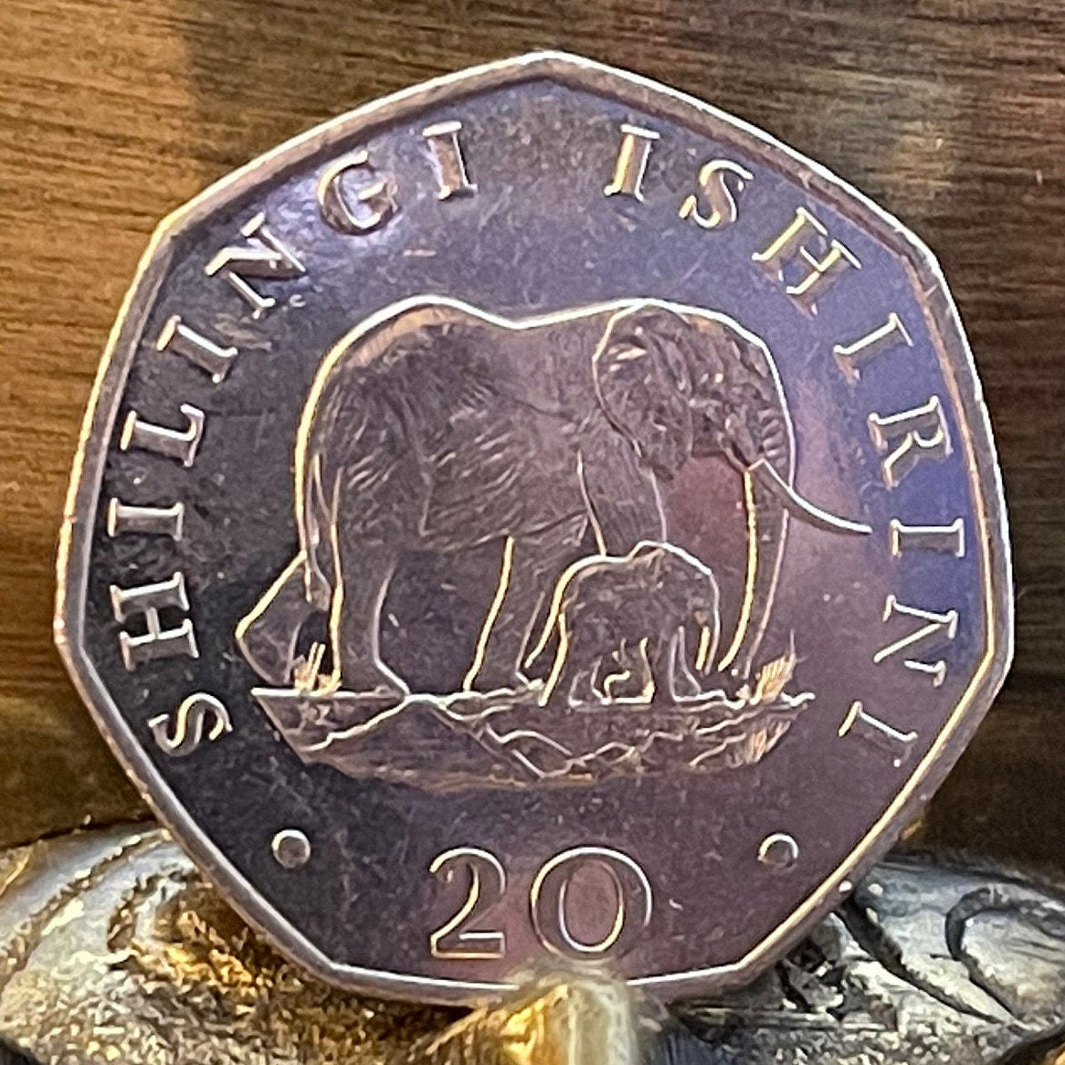 Elephant Mother and Baby & President Mwinyi 20 Shilingi Tanzania Authentic Coin Money for Jewelry and (Elephant Calf) 1992 (Heptagonal)