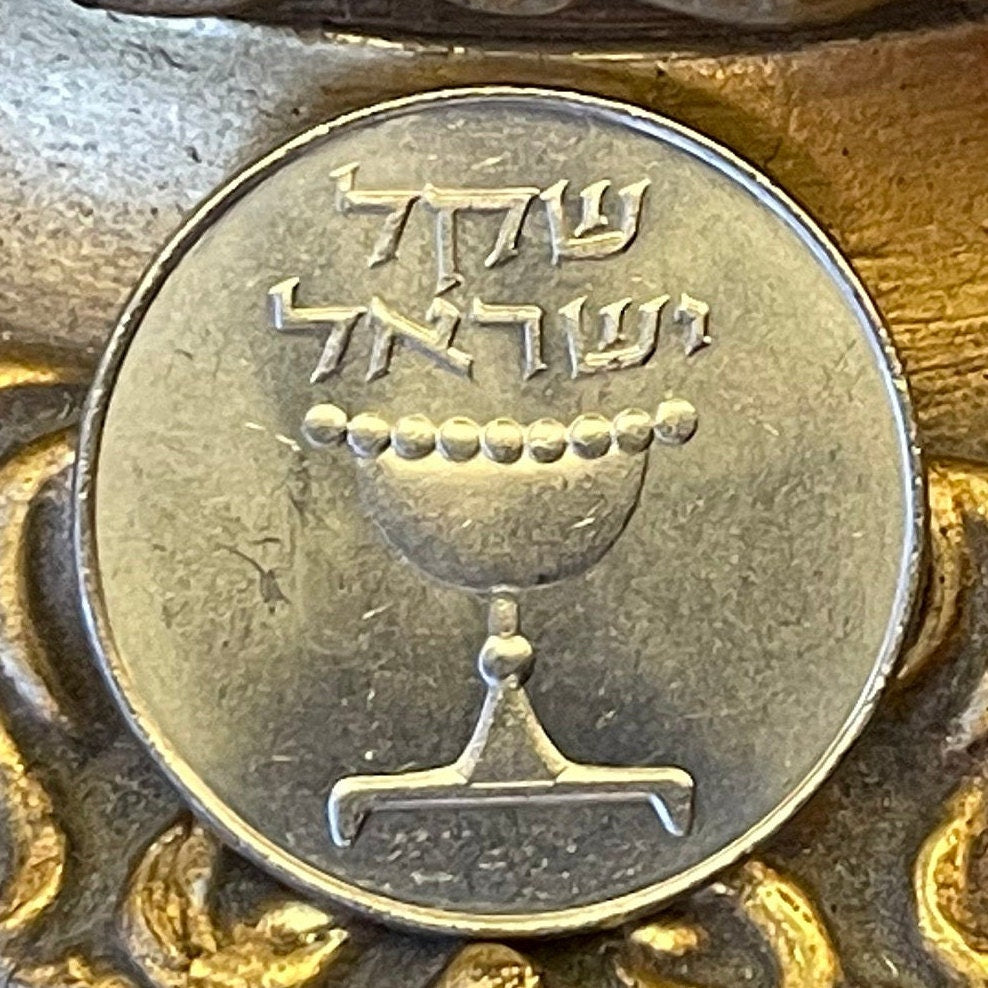 Omer Cup & Menorah 1 Sheqel Israel Authentic Coin Money for Jewelry and Craft Making (Hanukkah) (Sabbath Offering) (Passover Second Day)