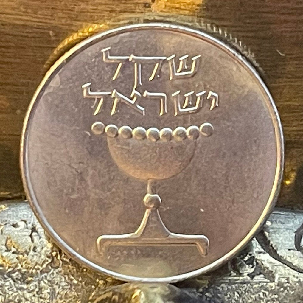 Omer Cup & Menorah 1 Sheqel Israel Authentic Coin Money for Jewelry and Craft Making (Hanukkah) (Sabbath Offering) (Passover Second Day)