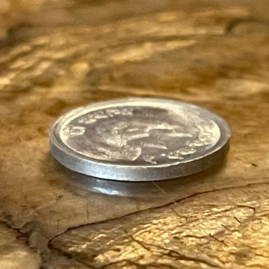 Rhododendron & Mount Everest with Trident Trishula 1 Paisa Nepal Authentic Coin Charm for Jewelry (Goddess Taleju) (Sagarmatha)