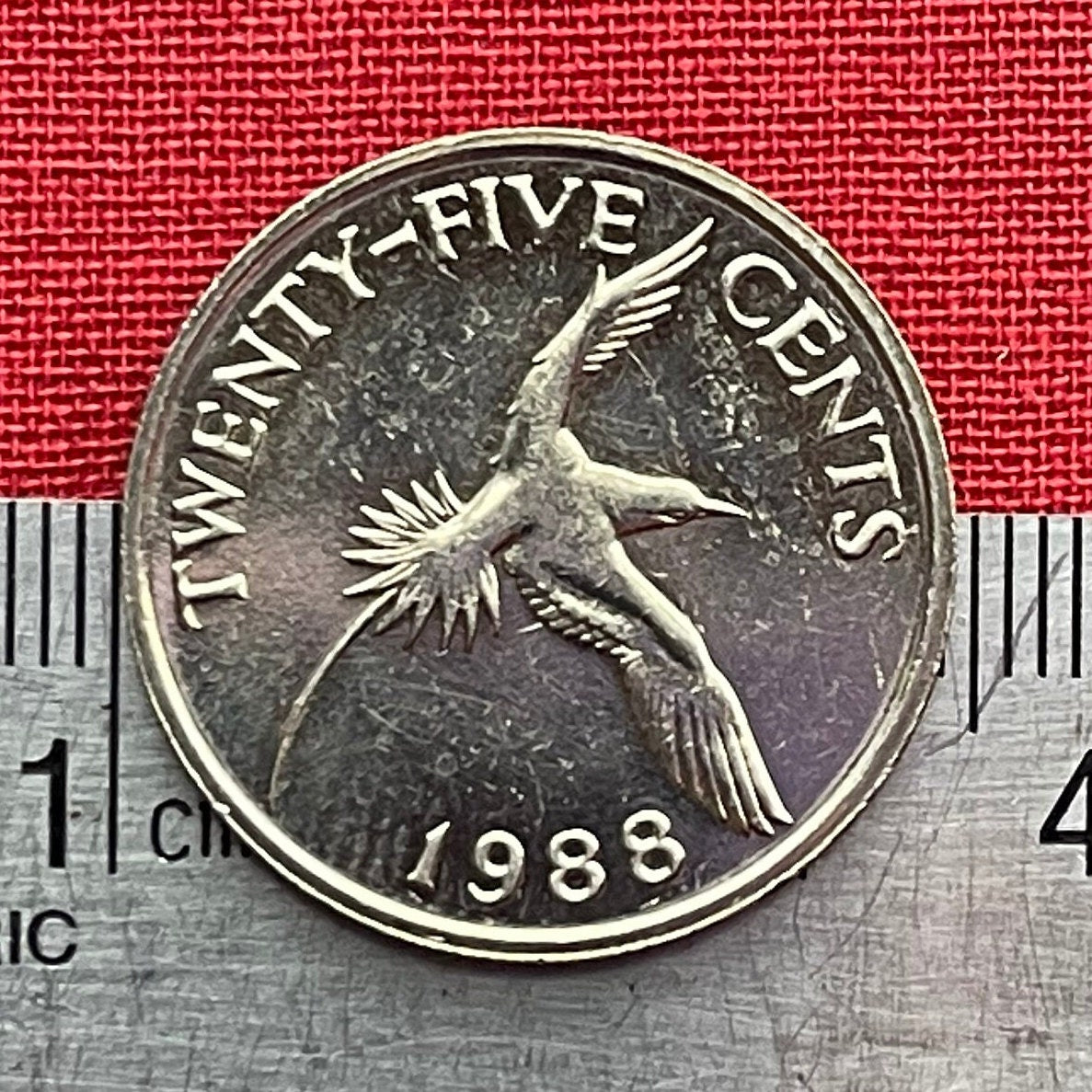White-Tailed Tropicbird 25 Cents Bermuda Authentic Coin Money for Jewelry and Craft Making (Chamorro Death-Screaming Utak)