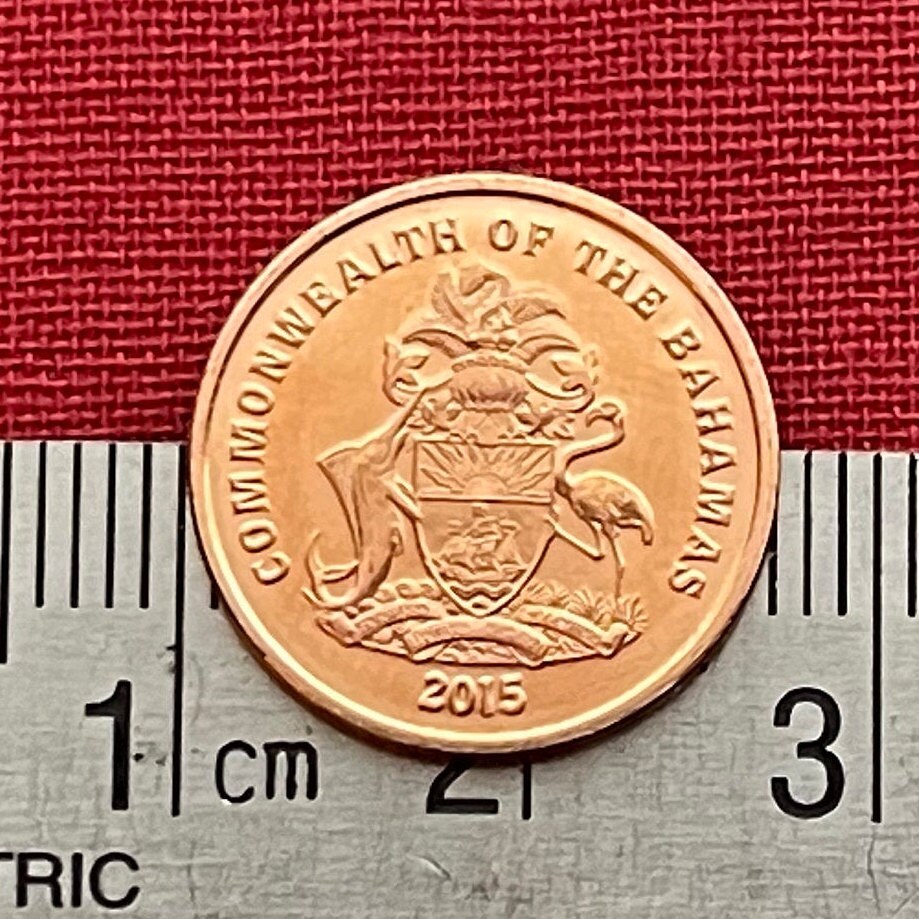 Red Cushion Sea Stars & Santa Maria 1 Cents Bahamas Authentic Coin Money for Jewelry and Craft Making (Columbus Flagship) (Starfish)