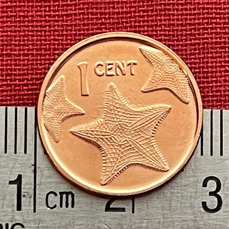 Red Cushion Sea Stars & Santa Maria 1 Cents Bahamas Authentic Coin Money for Jewelry and Craft Making (Columbus Flagship) (Starfish)