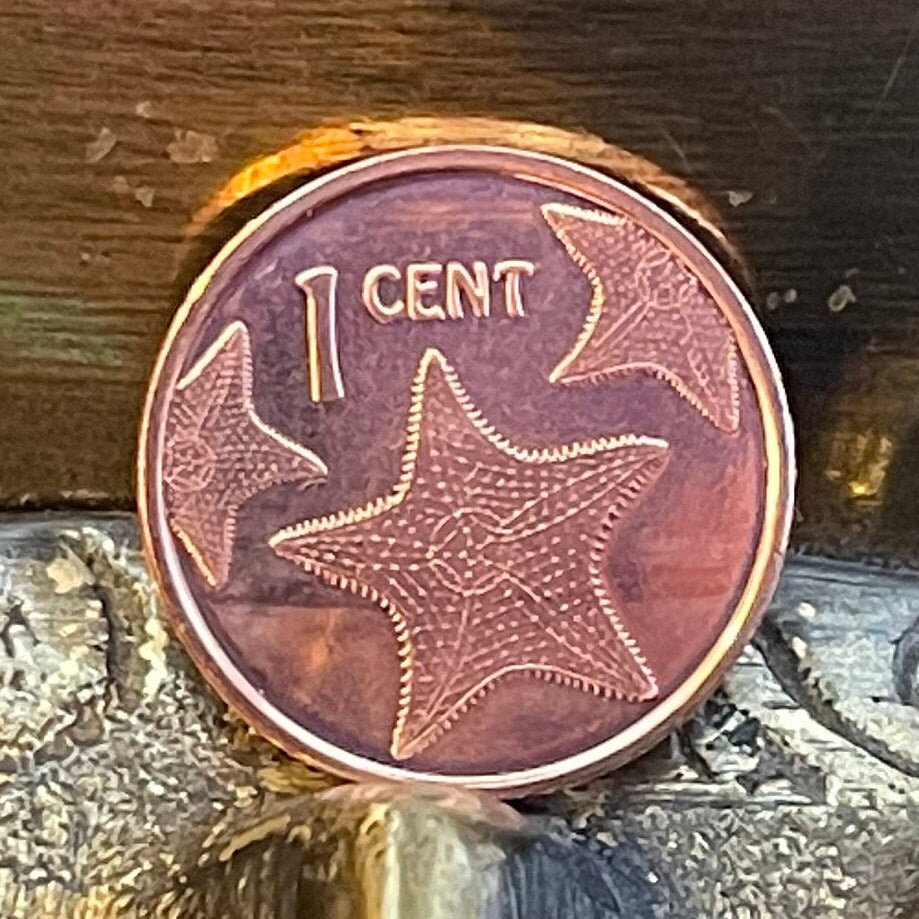 Red Cushion Sea Stars & Santa Maria 1 Cents Bahamas Authentic Coin Money for Jewelry and Craft Making (Columbus Flagship) (Starfish)