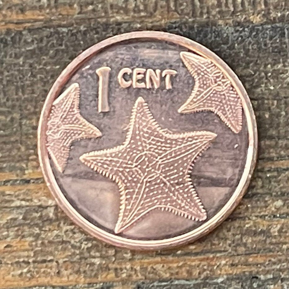Red Cushion Sea Stars & Santa Maria 1 Cents Bahamas Authentic Coin Money for Jewelry and Craft Making (Columbus Flagship) (Starfish)