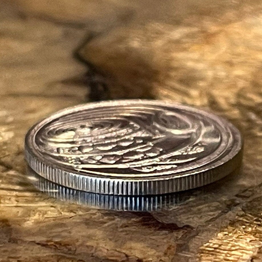 Sea Turtle Surfacing 10 Cents Cayman Islands Authentic Coin Money for Jewelry and Craft Making (Las Tortugas) (Green Sea Turtle)