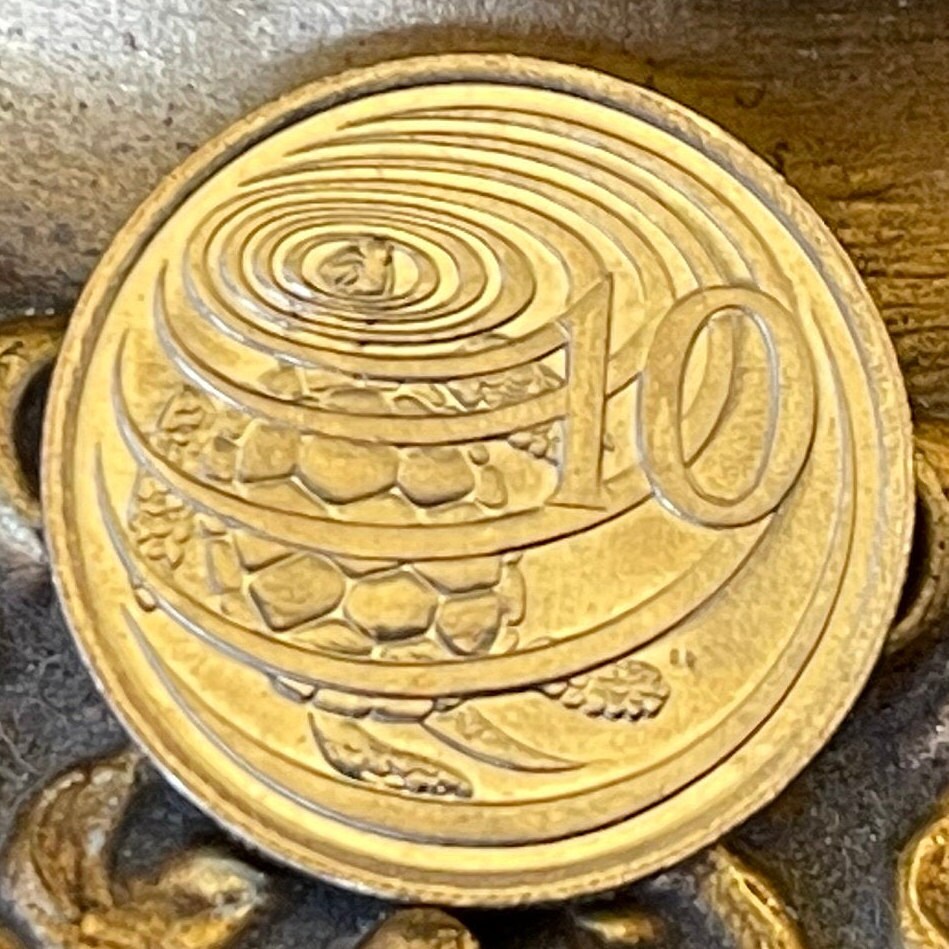 Sea Turtle Surfacing 10 Cents Cayman Islands Authentic Coin Money for Jewelry and Craft Making (Las Tortugas) (Green Sea Turtle)